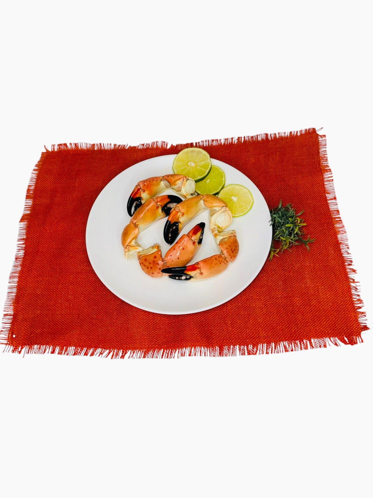 Large Stone Crab