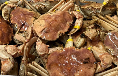 Golden Crab