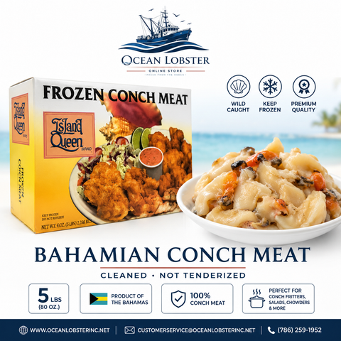 Premium Bahamian Conch Meat – 5 LB | Island Queen
