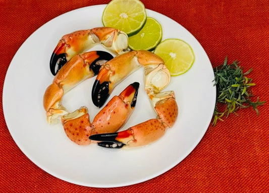 Large Stone Crab
