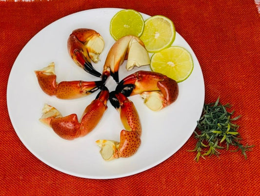 Medium Stone Crab