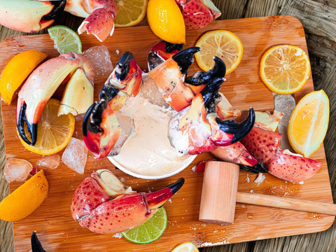 Jumbo Stone Crab