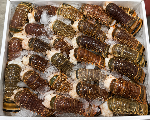 Lobster Tail